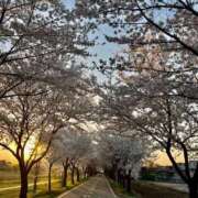 小池 いろは おはようございます☀︎ 30代40代50代と遊ぶなら博多人妻専科24時