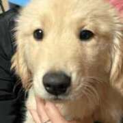 ヒメ日記 2025/09/12 07:23 投稿 みおん 熟女の風俗最終章 立川店