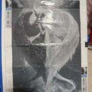 ヒメ日記 2025/09/17 10:03 投稿 みおん 熟女の風俗最終章 立川店