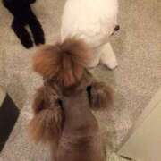 ヒメ日記 2025/08/14 20:05 投稿 りあ 蒲田ウルトラギャラクシー