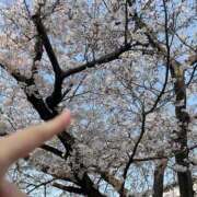 ヒメ日記 2026/04/01 10:12 投稿 りあ 蒲田ウルトラギャラクシー