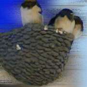 ヒメ日記 2025/07/16 19:06 投稿 百瀬 パンドラ（吉原）