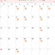 ヒメ日記 2025/08/26 18:14 投稿 百瀬 パンドラ（吉原）