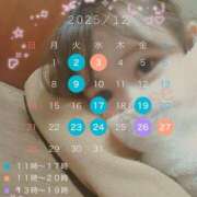 百瀬 12月の予定 パンドラ（吉原）