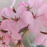 あゆ 本日体入です 諭吉専科