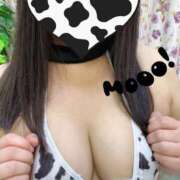 ヒメ日記 2026/03/11 20:04 投稿 あみ One More奥様　蒲田店