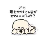 ヒメ日記 2025/06/28 13:42 投稿 るる 萌えカワ