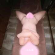 ヒメ日記 2025/09/08 08:42 投稿 きむら びくびくサークル五反田店