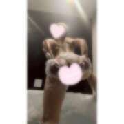 ヒメ日記 2025/10/10 23:43 投稿 きむら びくびくサークル五反田店