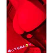 ヒメ日記 2025/11/24 21:39 投稿 きむら びくびくサークル五反田店