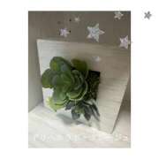 ひびき ❤︎イベント❤︎ デリヘルラボ・クレージュ