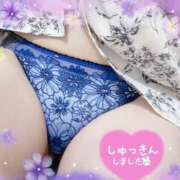 ヒメ日記 2025/10/17 12:35 投稿 立花りほ 大人めシンデレラ 新横浜店（シンデレラグループ）