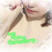 ヒメ日記 2025/11/12 12:38 投稿 立花りほ 大人めシンデレラ 新横浜店（シンデレラグループ）