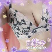 ヒメ日記 2026/01/27 19:06 投稿 立花りほ 大人めシンデレラ 新横浜店（シンデレラグループ）