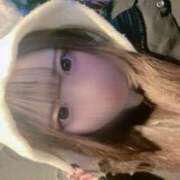 ヒメ日記 2025/06/20 15:03 投稿 める アラカルト