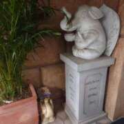 ヒメ日記 2025/09/30 18:40 投稿 さゆ 池袋風俗　池袋いきなりビンビン伝説