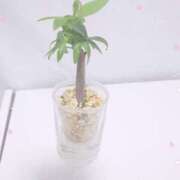 ヒメ日記 2025/10/19 18:03 投稿 さゆ 池袋風俗　池袋いきなりビンビン伝説