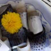 ヒメ日記 2025/10/20 12:36 投稿 さゆ 池袋風俗　池袋いきなりビンビン伝説