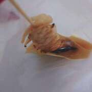 ヒメ日記 2025/11/01 20:35 投稿 さゆ 池袋風俗　池袋いきなりビンビン伝説