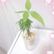 ヒメ日記 2025/11/07 21:01 投稿 さゆ 池袋風俗　池袋いきなりビンビン伝説