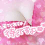 ヒメ日記 2025/11/08 14:24 投稿 さゆ 池袋風俗　池袋いきなりビンビン伝説