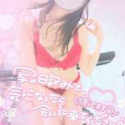 ヒメ日記 2025/11/18 13:49 投稿 さゆ 池袋風俗　池袋いきなりビンビン伝説