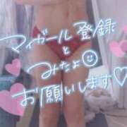 ヒメ日記 2025/12/03 12:33 投稿 さゆ 池袋風俗　池袋いきなりビンビン伝説