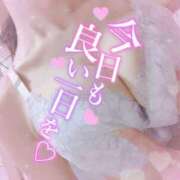 ヒメ日記 2026/04/11 10:31 投稿 さゆ 池袋風俗　池袋いきなりビンビン伝説