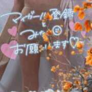 ヒメ日記 2026/10/14 11:15 投稿 さゆ 池袋風俗　池袋いきなりビンビン伝説
