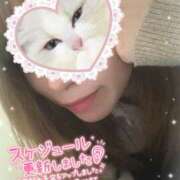 マホ 次回出勤のお知らせ🫧 Celeb Garden(セレブガーデン)