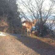 ヒメ日記 2025/06/23 10:49 投稿 さゆ 池袋西口でSUGEEE求められる俺のカラダ