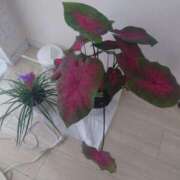 ヒメ日記 2025/07/09 12:00 投稿 さゆ 池袋西口でSUGEEE求められる俺のカラダ