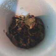 ヒメ日記 2025/08/13 17:50 投稿 さゆ 池袋西口でSUGEEE求められる俺のカラダ