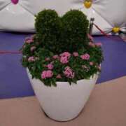 ヒメ日記 2025/08/28 14:52 投稿 さゆ 池袋西口でSUGEEE求められる俺のカラダ