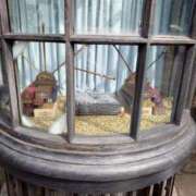 ヒメ日記 2025/09/04 12:11 投稿 さゆ 池袋西口でSUGEEE求められる俺のカラダ