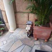 ヒメ日記 2025/09/30 18:55 投稿 さゆ 池袋西口でSUGEEE求められる俺のカラダ