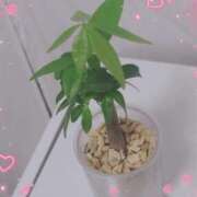 ヒメ日記 2025/10/25 17:01 投稿 さゆ 池袋西口でSUGEEE求められる俺のカラダ