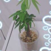 ヒメ日記 2025/10/26 18:40 投稿 さゆ 池袋西口でSUGEEE求められる俺のカラダ