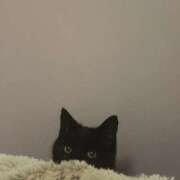 ヒメ日記 2025/07/28 13:40 投稿 よな 色姫物語(中津)