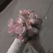 ヒメ日記 2026/03/30 12:51 投稿 よな 色姫物語(中津)