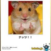 ヒメ日記 2025/10/18 14:29 投稿 杏樹【あんじゅ】 色姫物語(中津)