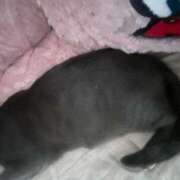 ヒメ日記 2025/12/19 17:17 投稿 杏樹【あんじゅ】 色姫物語(中津)