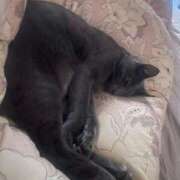 ヒメ日記 2026/01/11 09:07 投稿 杏樹【あんじゅ】 色姫物語(中津)