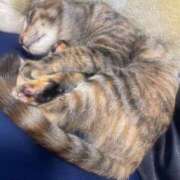 ヒメ日記 2026/02/01 17:54 投稿 杏樹【あんじゅ】 色姫物語(中津)