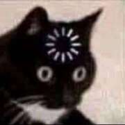 ヒメ日記 2026/03/06 00:08 投稿 杏樹【あんじゅ】 色姫物語(中津)