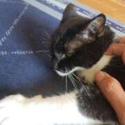 ヒメ日記 2025/07/02 07:20 投稿 かすみ 新宿・新大久保おかあさん