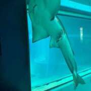 ヒメ日記 2025/07/05 13:20 投稿 かすみ 新宿・新大久保おかあさん