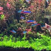 ヒメ日記 2025/07/06 19:55 投稿 かすみ 新宿・新大久保おかあさん