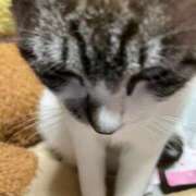 ヒメ日記 2025/07/22 23:18 投稿 かすみ 新宿・新大久保おかあさん