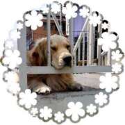 ヒメ日記 2025/07/26 23:10 投稿 かすみ 新宿・新大久保おかあさん